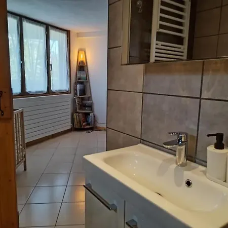 Apartment Le Nid Du Chat Noir - Gite La Maison Alveole Sciez
