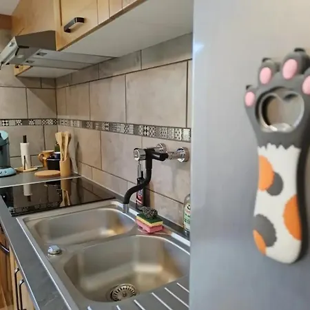Apartment Le Nid Du Chat Noir - Gite La Maison Alveole *